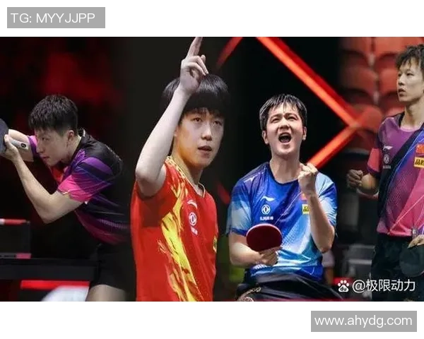 樊振东林诗栋高峰相见 孙颖莎王曼昱再度对决